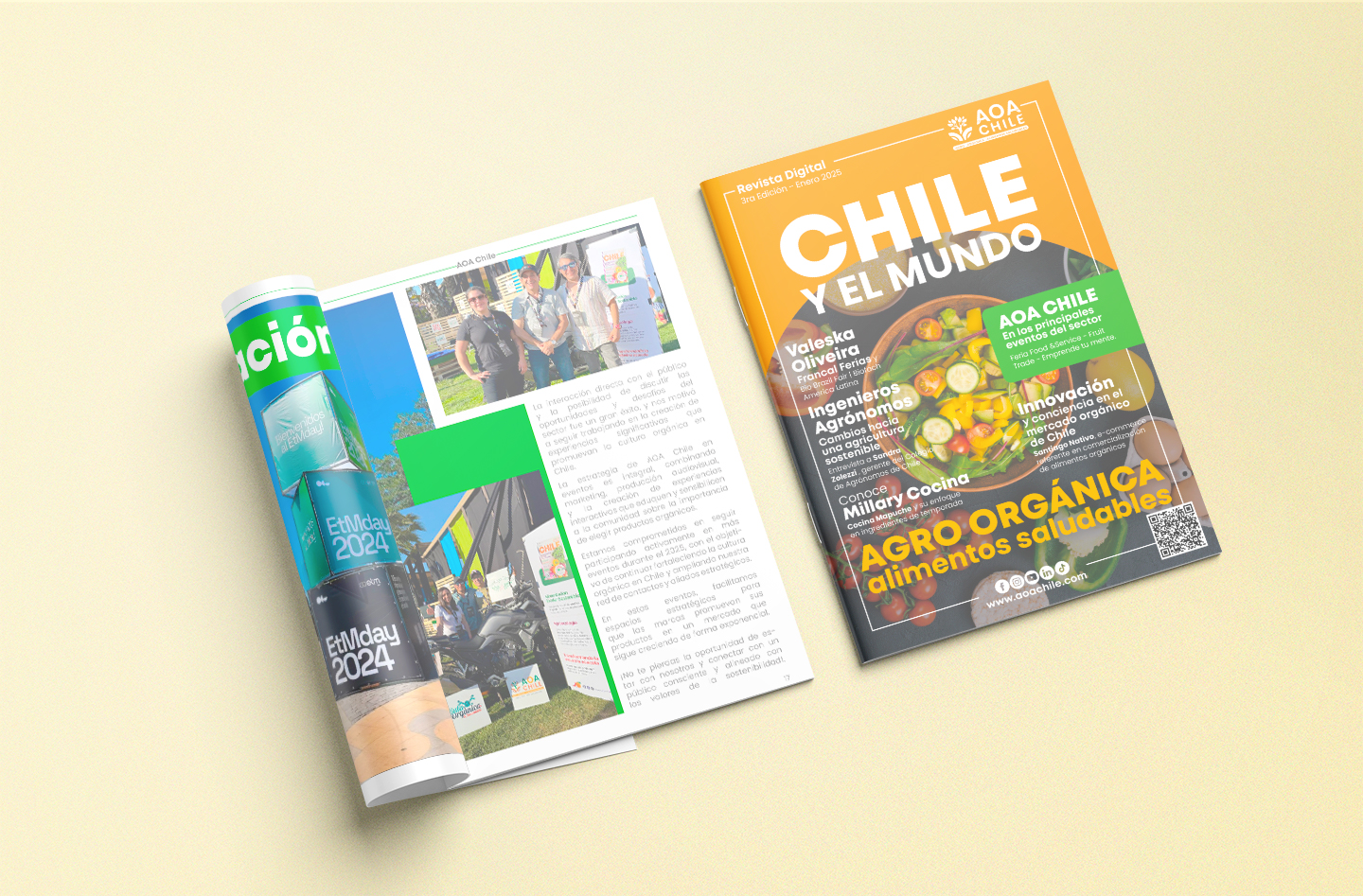 Inicio Revista Digital