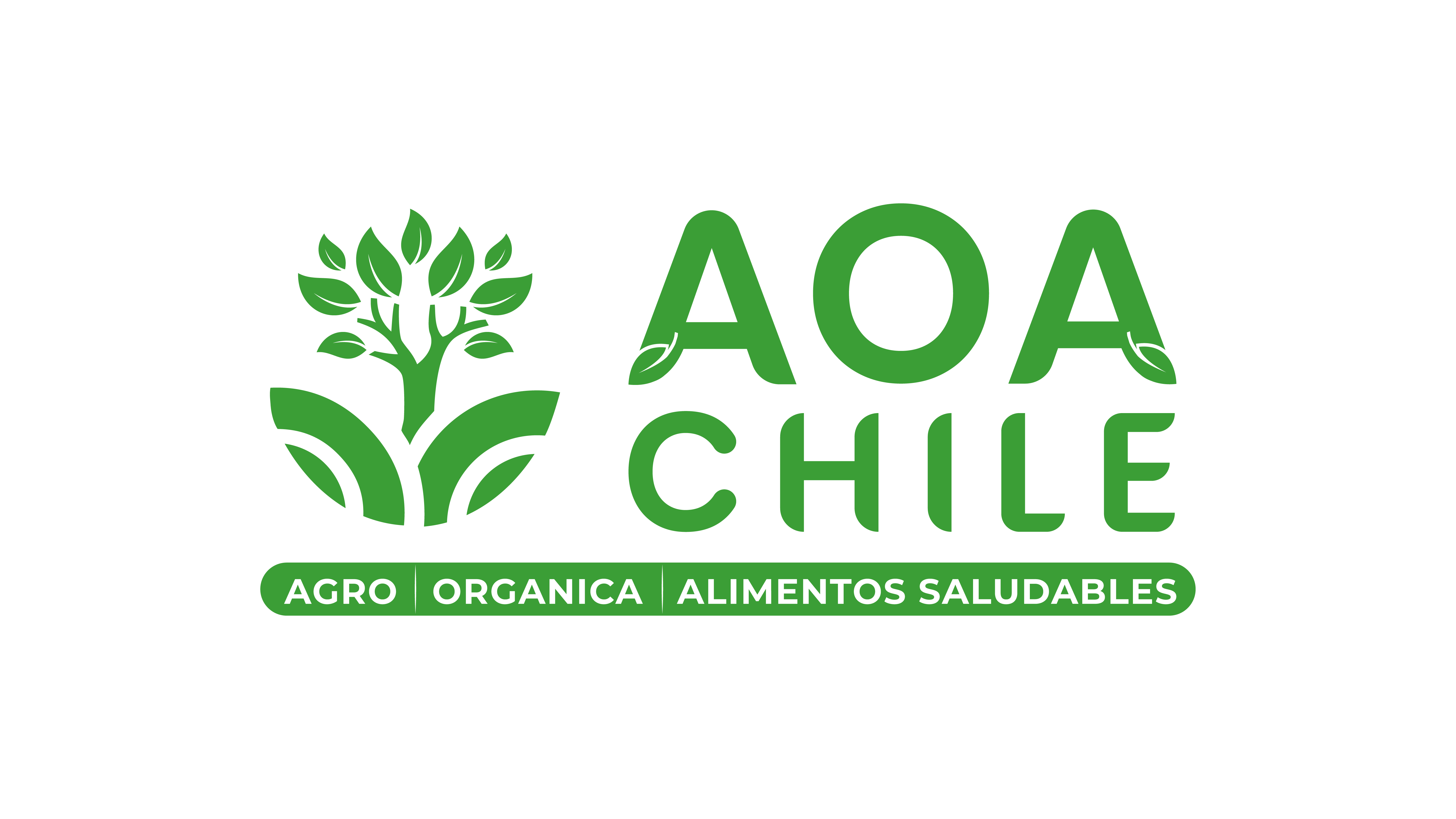logo verde AoaChile