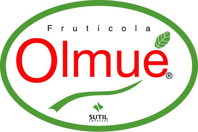 Olmue