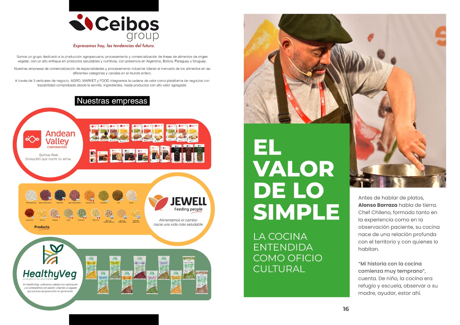 Revista Digital AOA Chile imagen 2