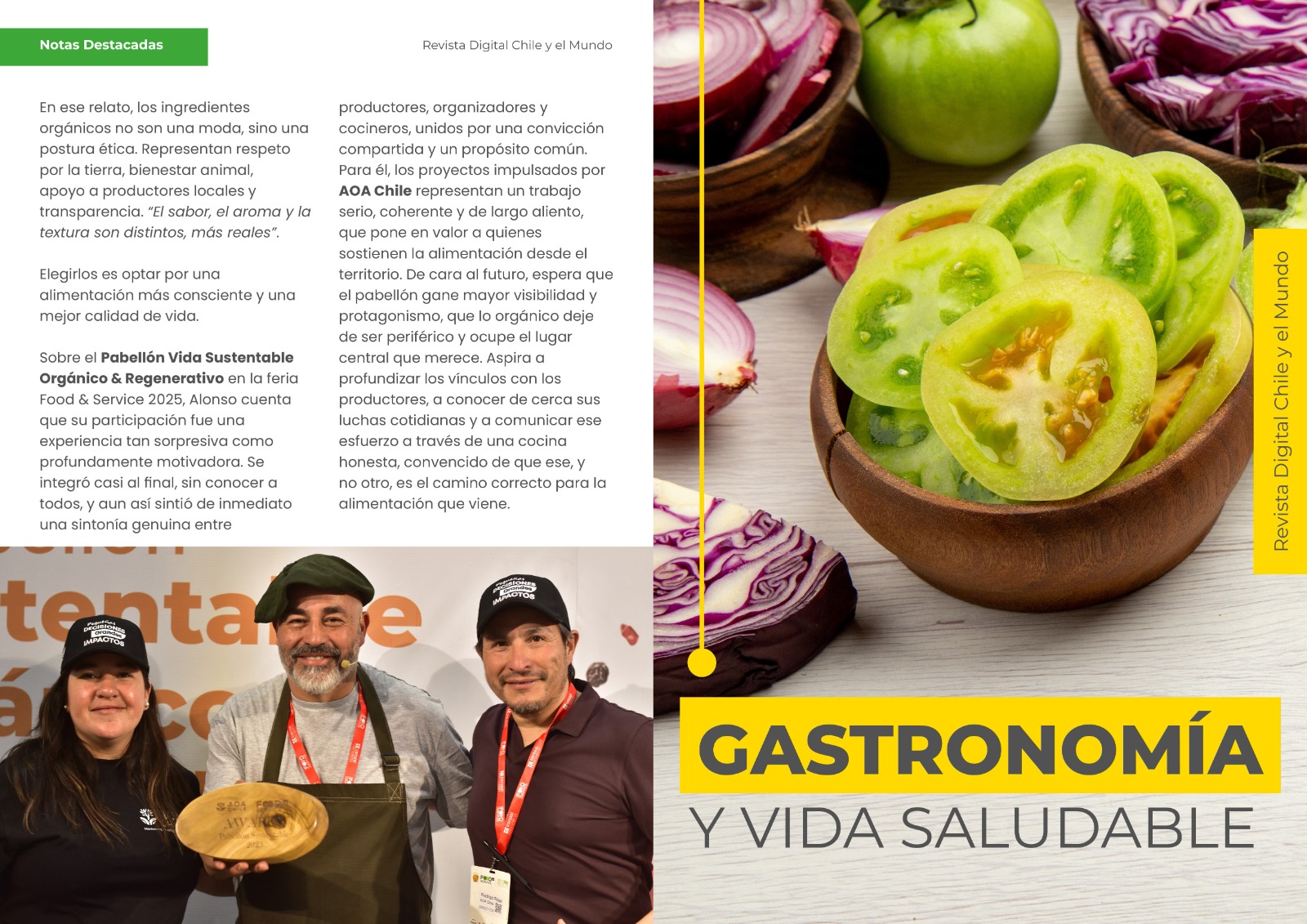 Revista Digital AOA Chile imagen 3