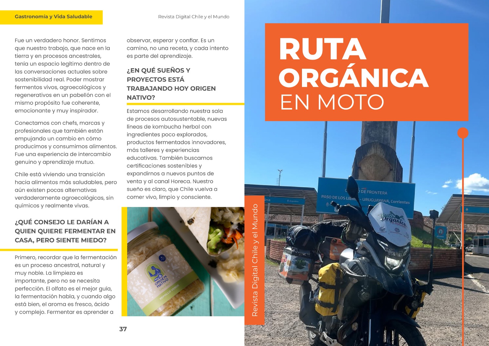 Revista Digital AOA Chile imagen 4
