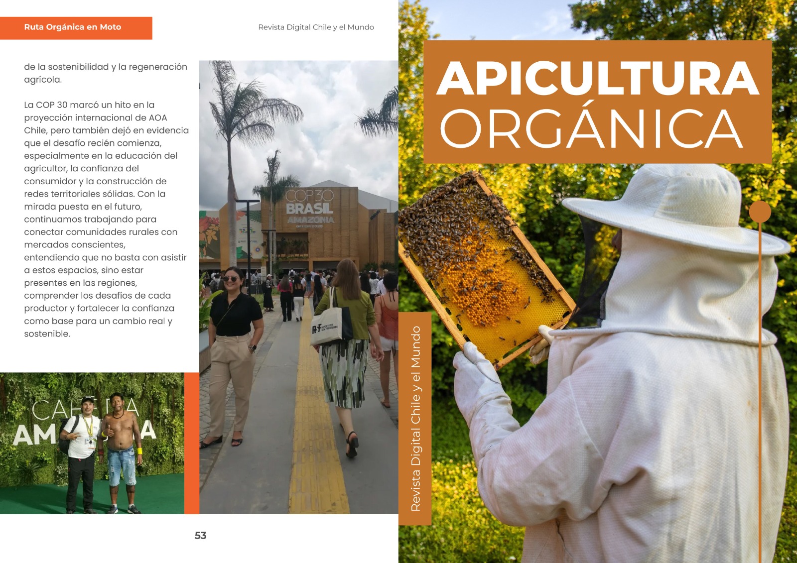 Revista Digital AOA Chile imagen 5